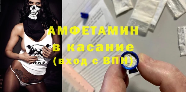 гидра Арсеньев