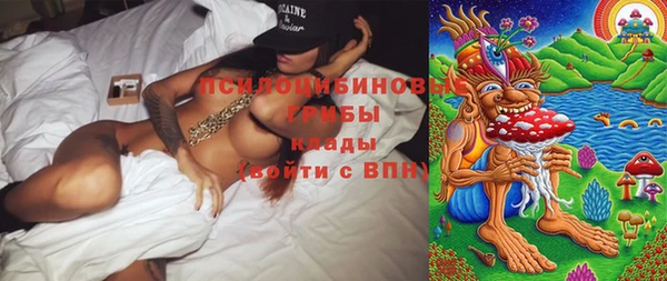 ПСИЛОЦИБИНОВЫЕ ГРИБЫ Аркадак