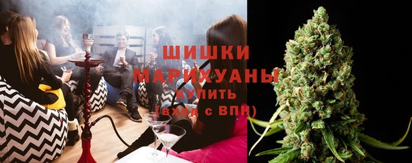 гидра Арсеньев