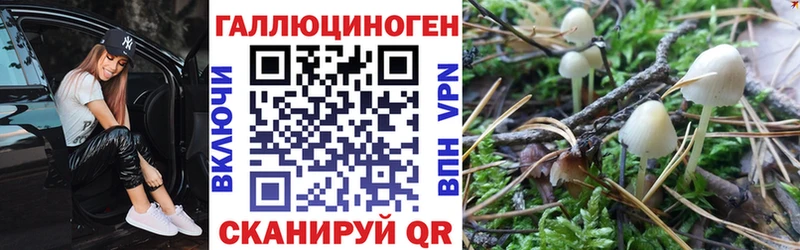 Псилоцибиновые грибы Psilocybe Белёв