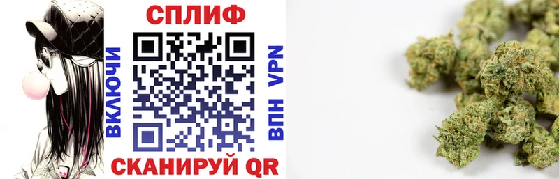 Каннабис гибрид  Белёв 